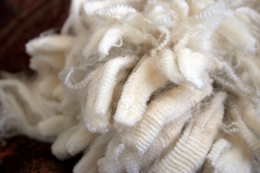 Spinning a Fine New Zealand Merino Fleece – Nancy Elizabeth Designs